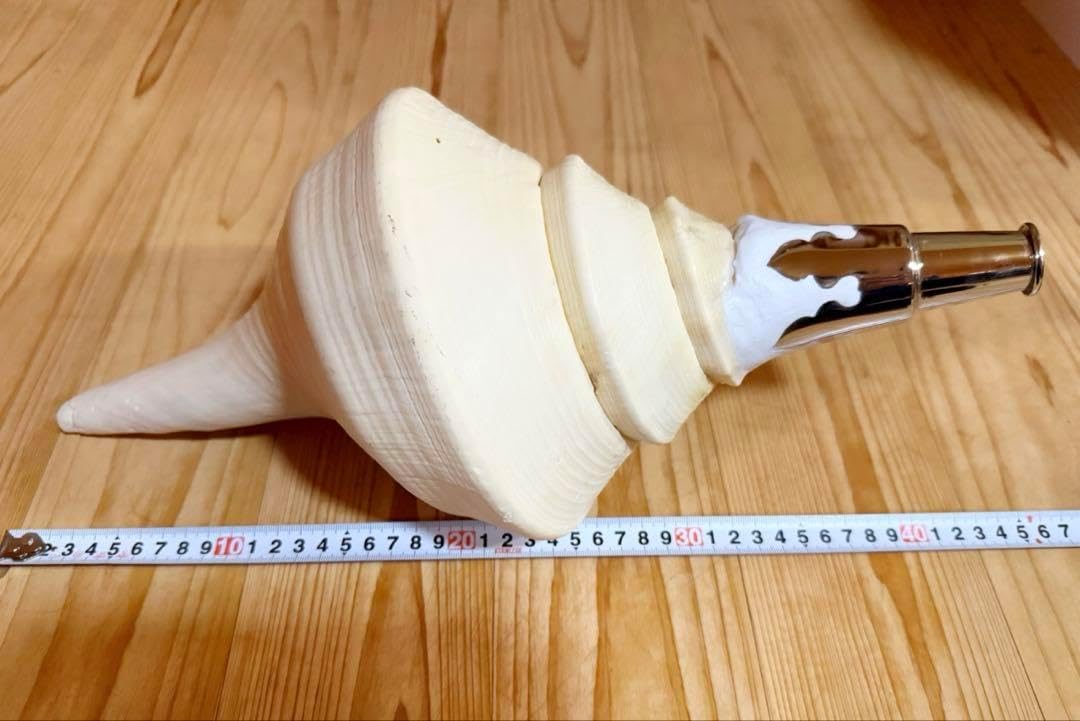 アラフラオオニシ法螺貝43㎝ ほら貝 ホラガイ 爆音です